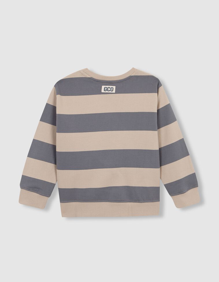 Sudadera De Rayas