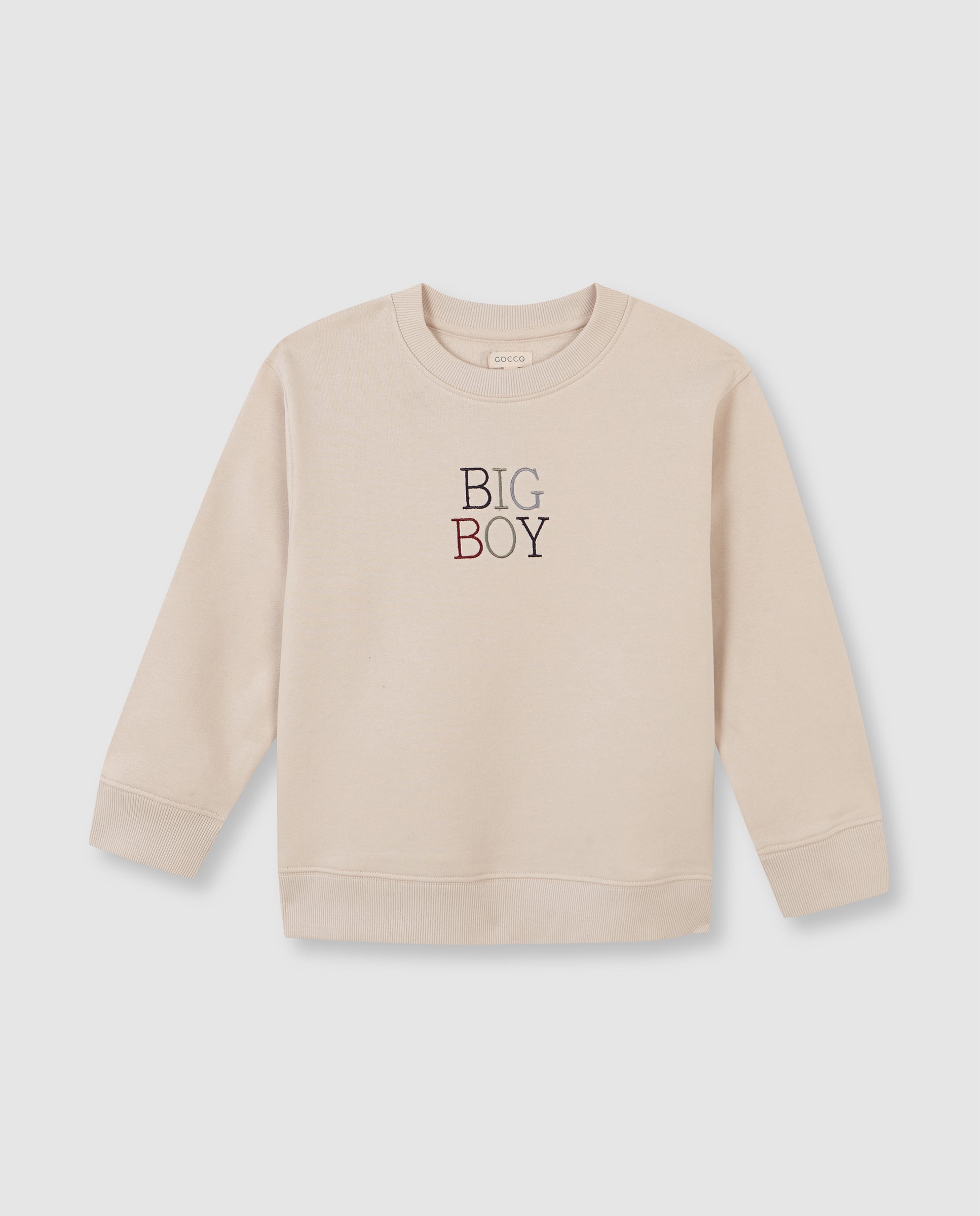 Sudadera Print Family