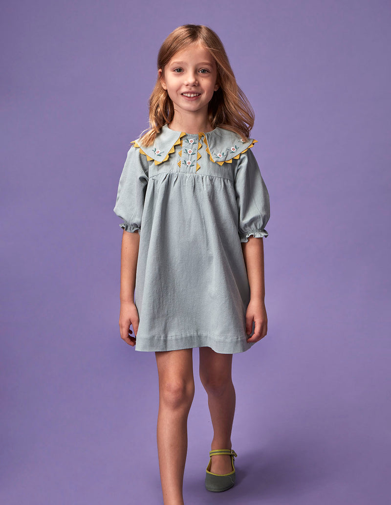 Vestido con cuellos pico bordados